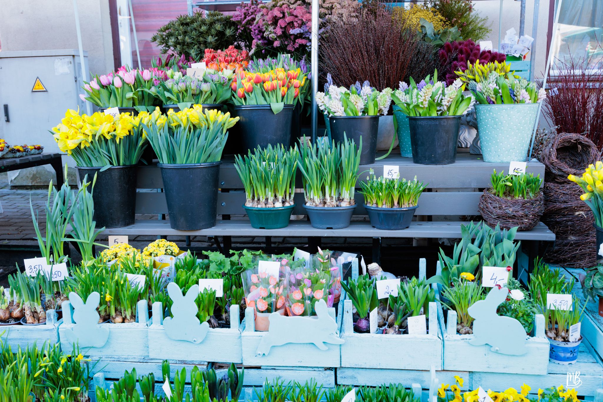 2024   Riga   MB 245